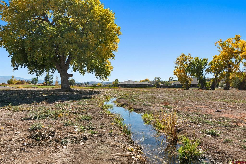 63242 Pearl Road Montrose CO 81403
