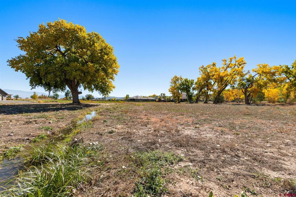 63242 Pearl Road Montrose CO 81403