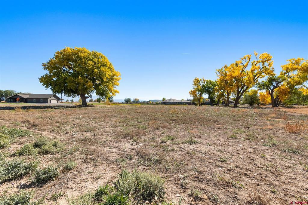 63242 Pearl Road Montrose CO 81403