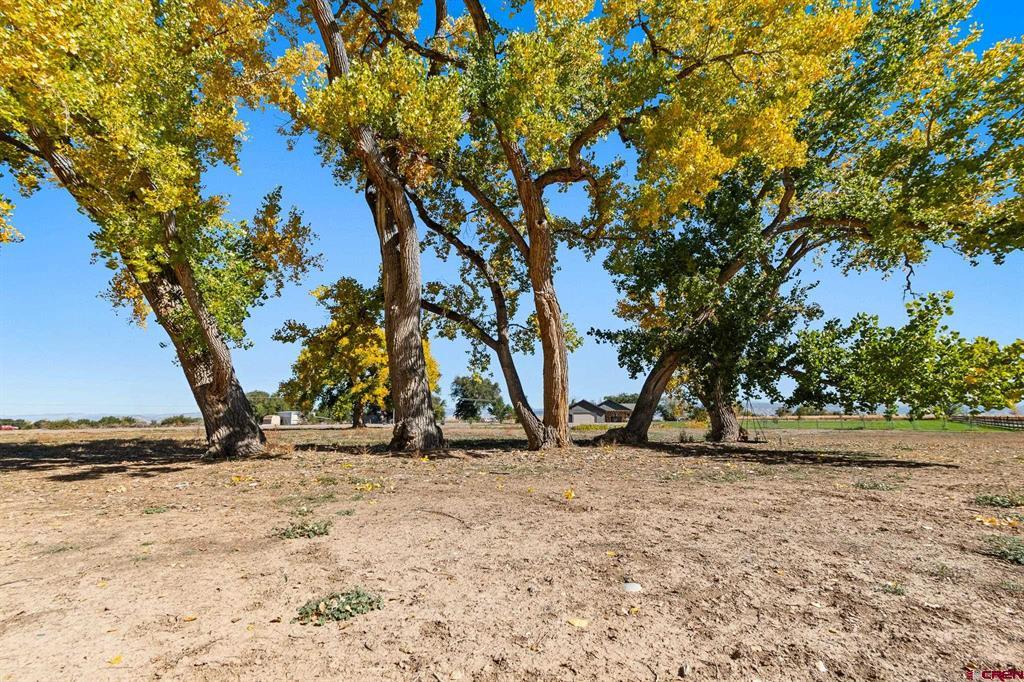 63242 Pearl Road Montrose CO 81403