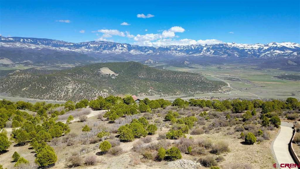 802 # H Pine Drive Lot 11 Ridgway CO 81432