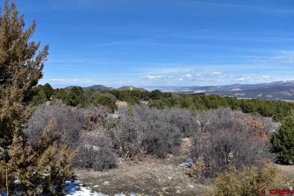 802 # H Pine Drive Lot 11 Ridgway CO 81432