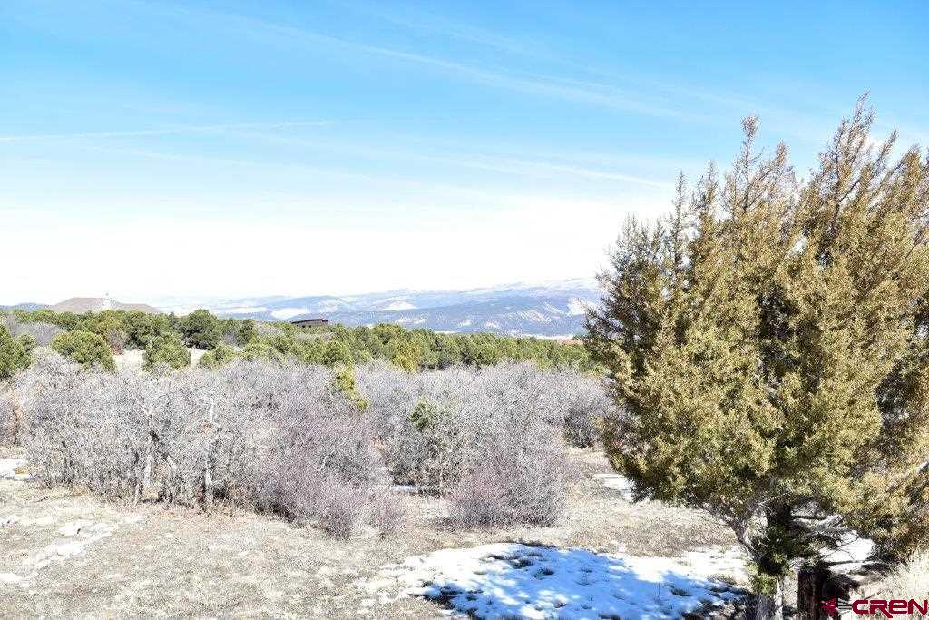 802 # H Pine Drive Lot 11 Ridgway CO 81432