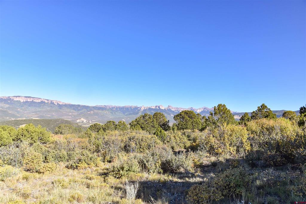 802 # H Pine Drive Lot 11 Ridgway CO 81432