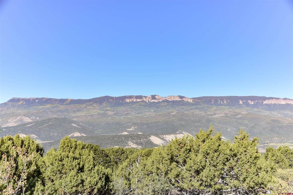 802 # H Pine Drive Lot 11 Ridgway CO 81432