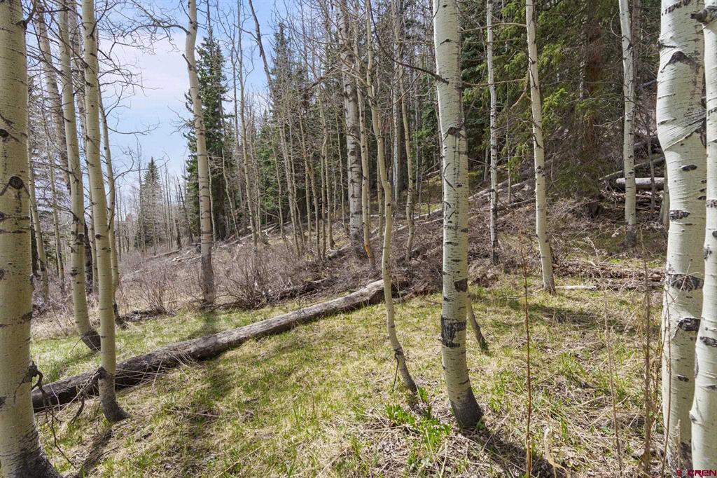 49 Meadow Circle Durango CO 81301