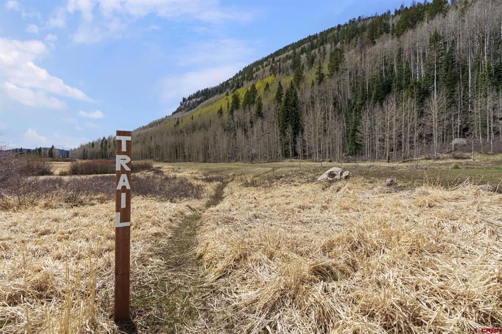 49 Meadow Circle Durango CO 81301