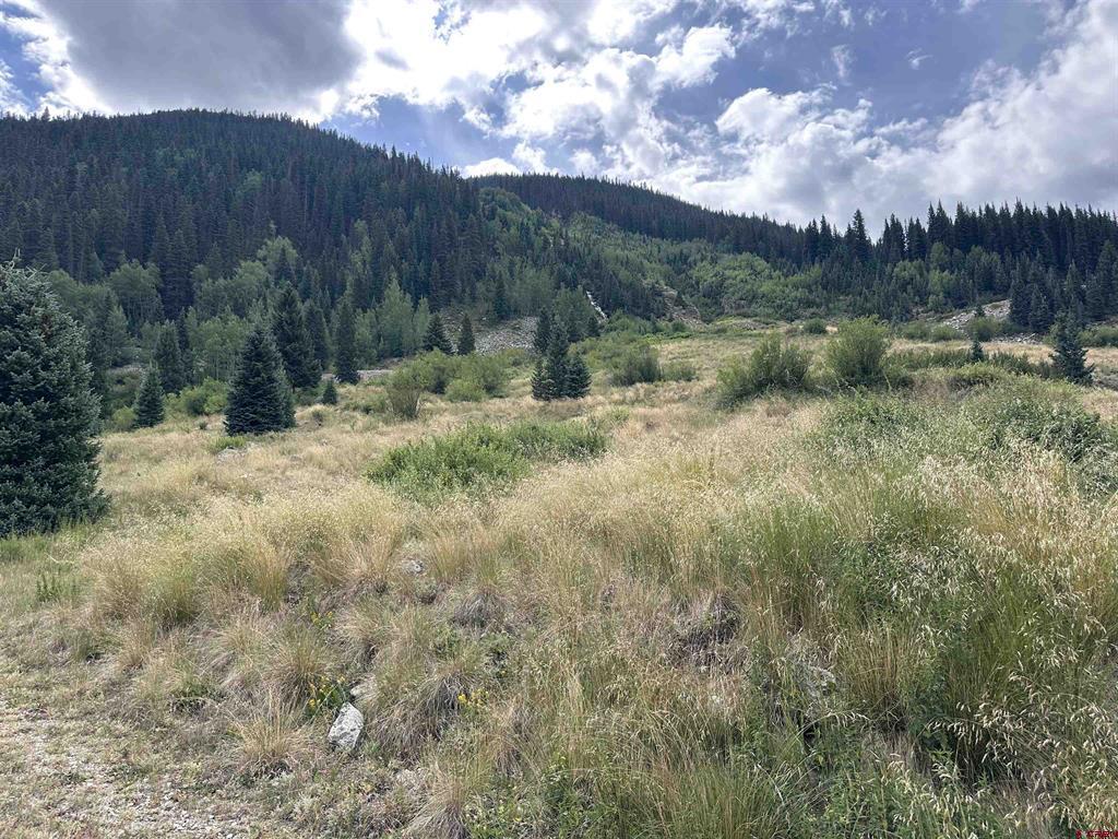 Idaho Cr 33 Silverton CO 81433