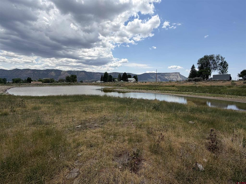 Tbd Road 38 & Road G Mancos CO 81328