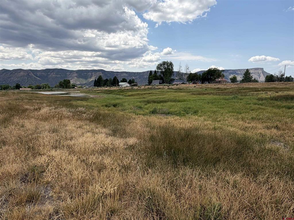 Tbd Road 38 & Road G Mancos CO 81328
