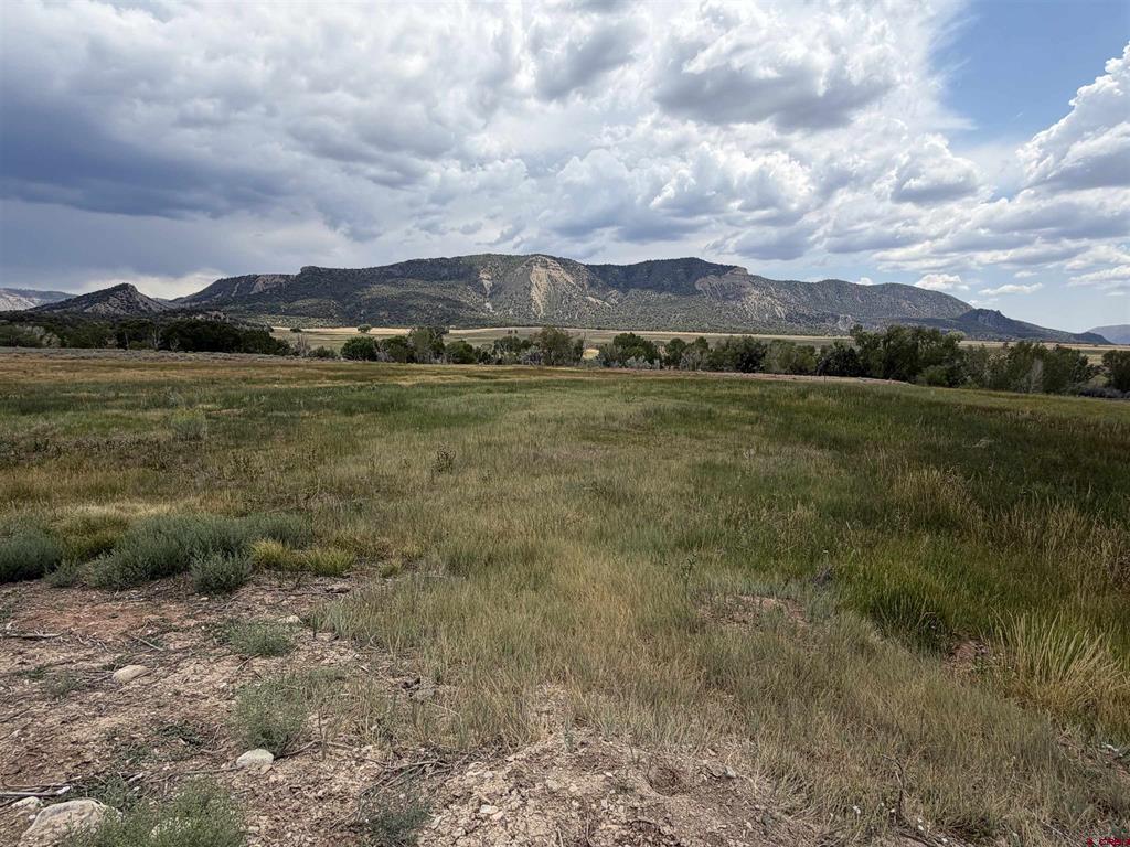 Tbd Road 38 & Road G Mancos CO 81328