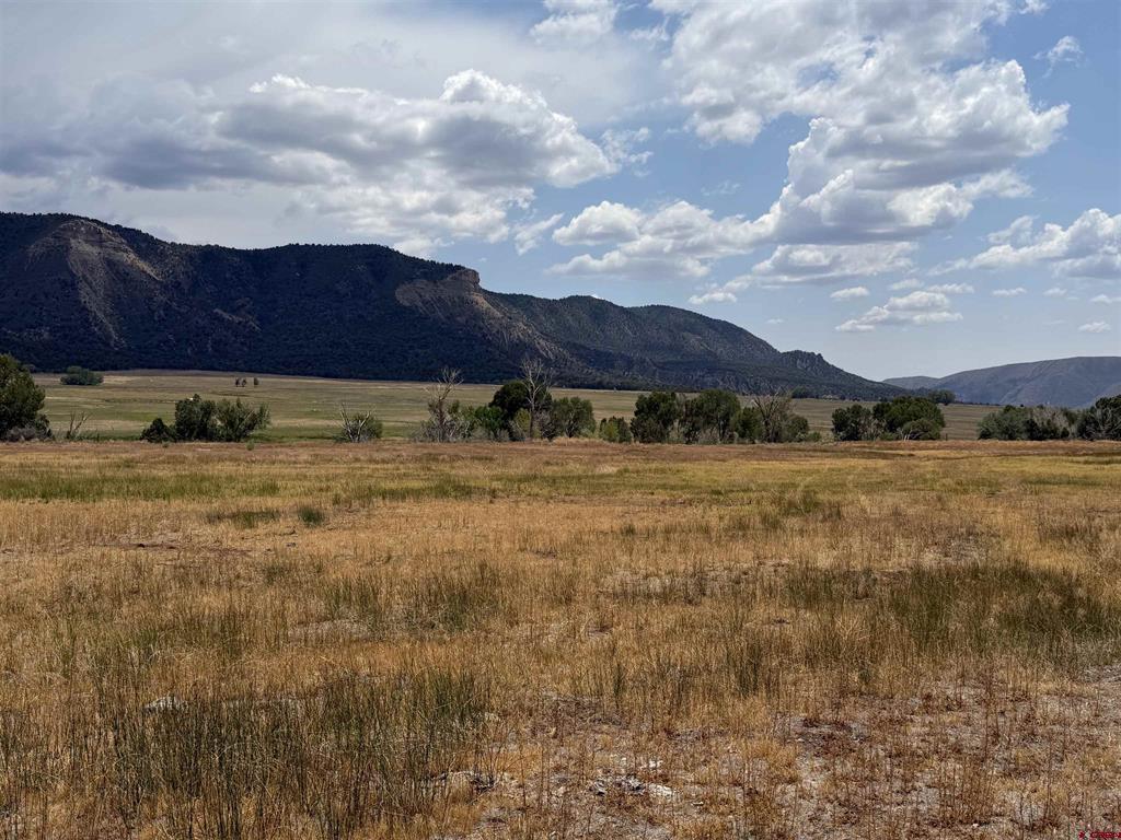 Tbd Road 38 & Road G Mancos CO 81328