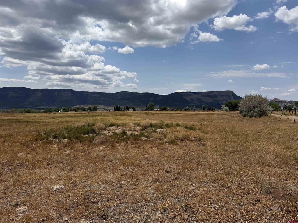 Tbd Road 38 & Road G Mancos CO 81328