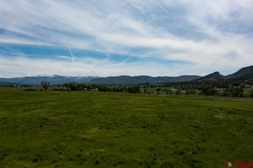Tbd Road 38 & Road G Mancos CO 81328