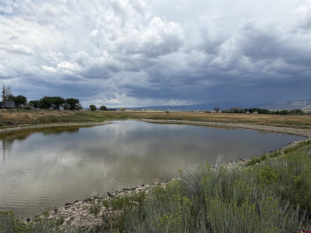 Tbd Road 38 & Road G Mancos CO 81328