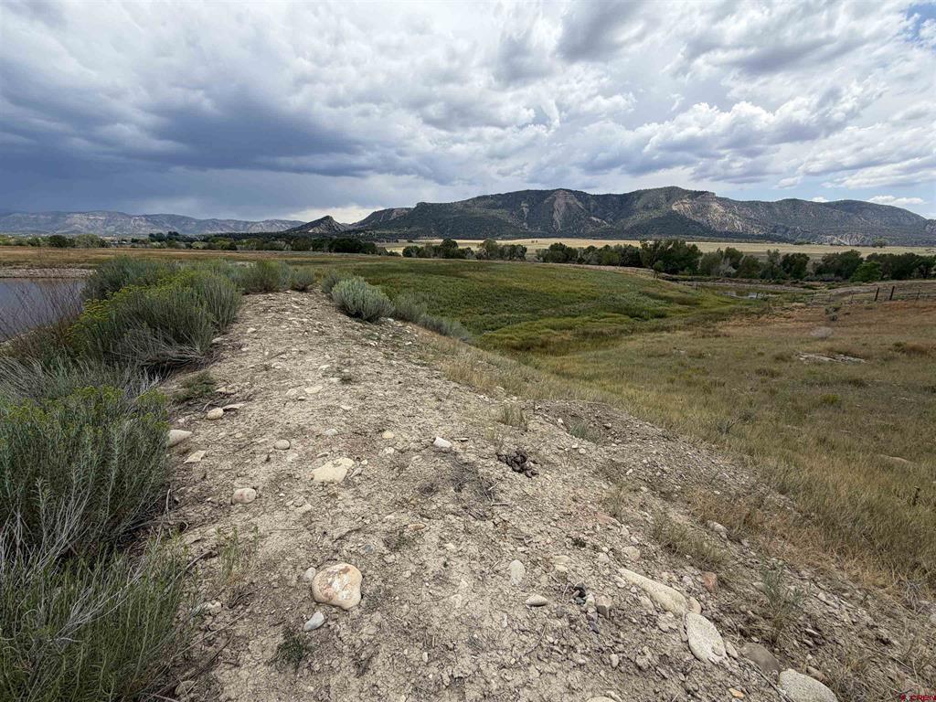 Tbd Road 38 & Road G Mancos CO 81328