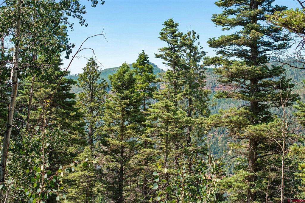 126 Sierra Verde Lane Durango CO 81301