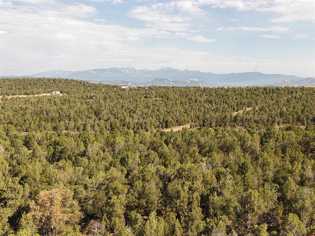 Tbd Cr 310 Ignacio CO 81137