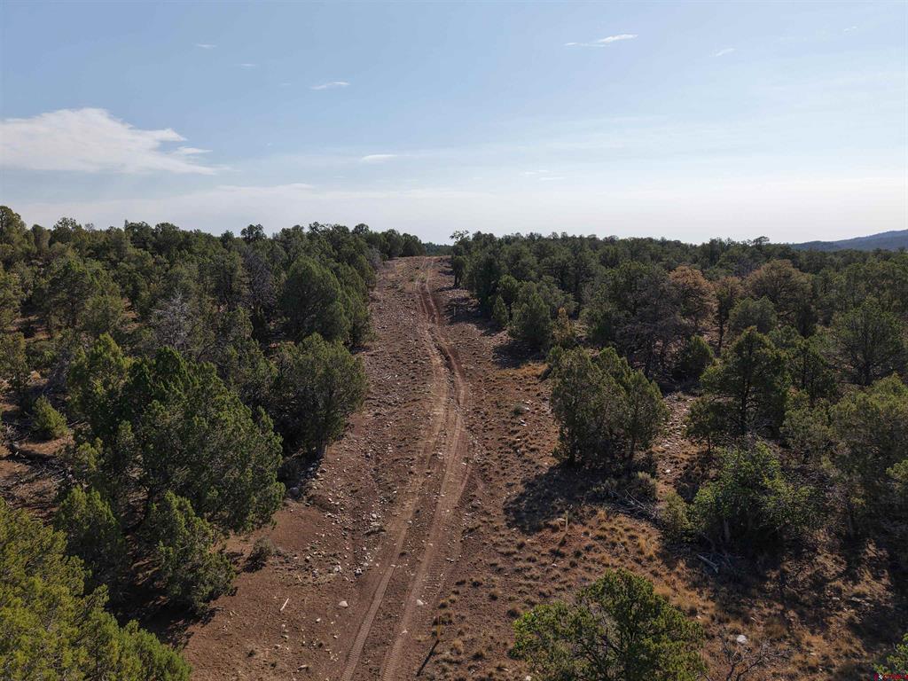 Tbd Cr 310 Ignacio CO 81137