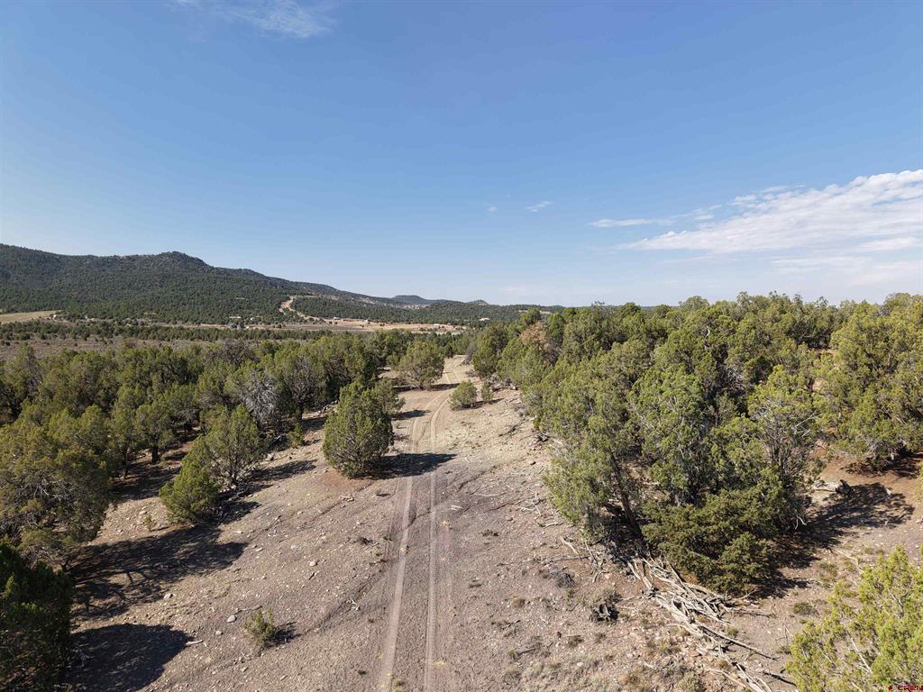Tbd Cr 310 Ignacio CO 81137