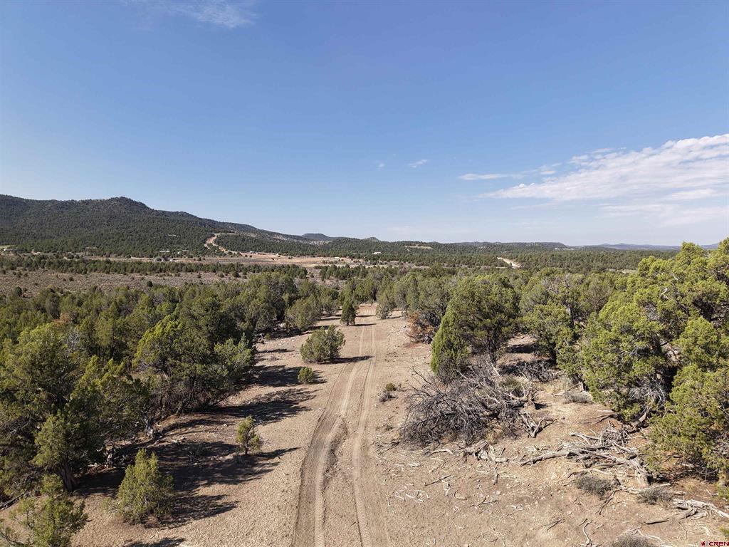 Tbd Cr 310 Ignacio CO 81137
