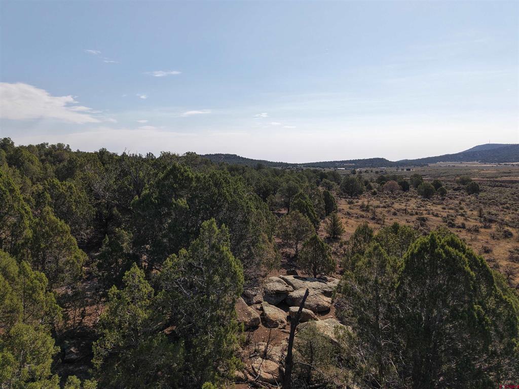 Tbd Cr 310 Ignacio CO 81137