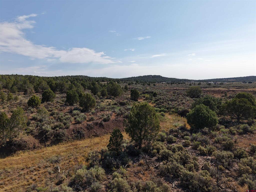 Tbd Cr 310 Ignacio CO 81137