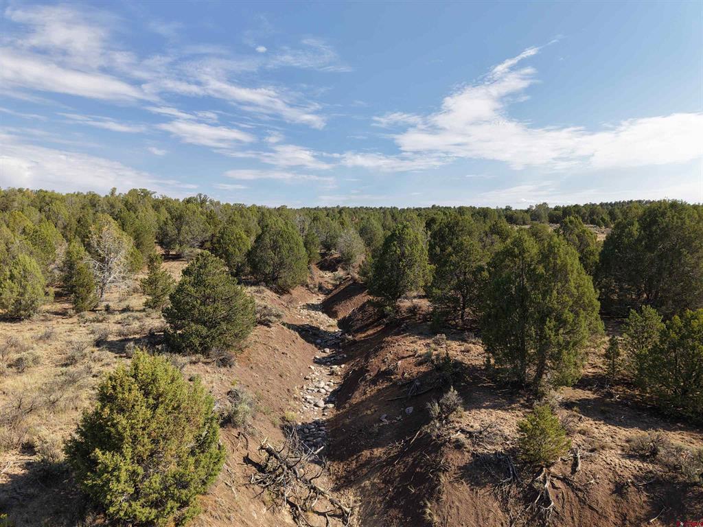 Tbd Cr 310 Ignacio CO 81137