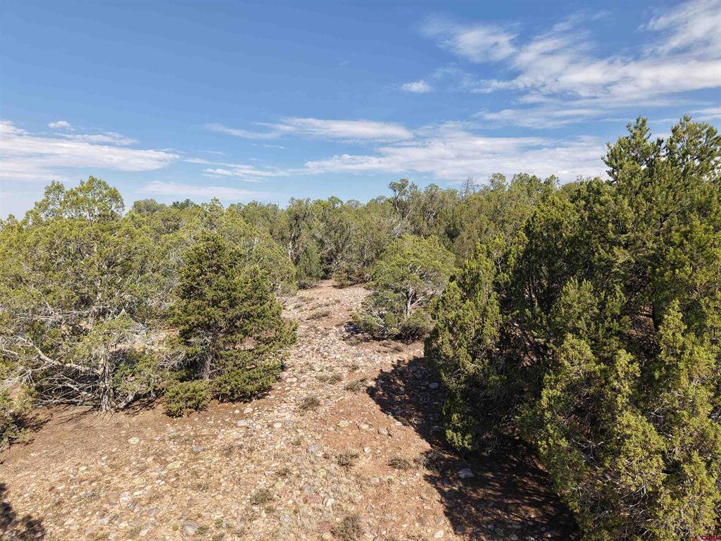 Tbd Cr 310 Ignacio CO 81137