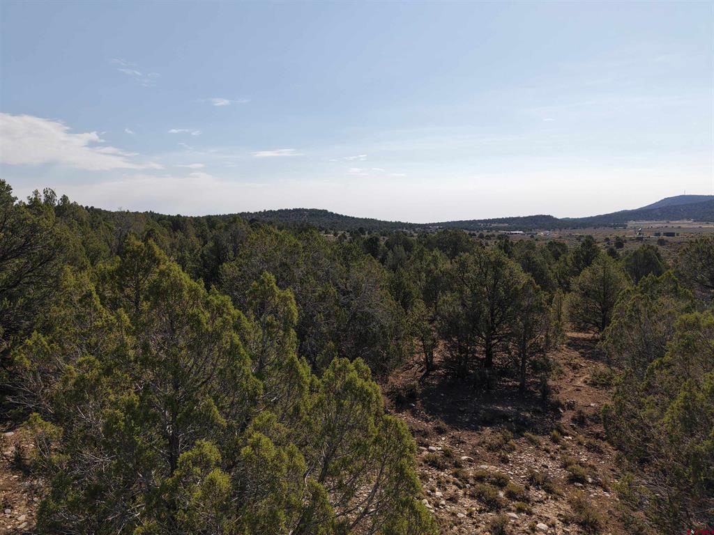 Tbd Cr 310 Ignacio CO 81137