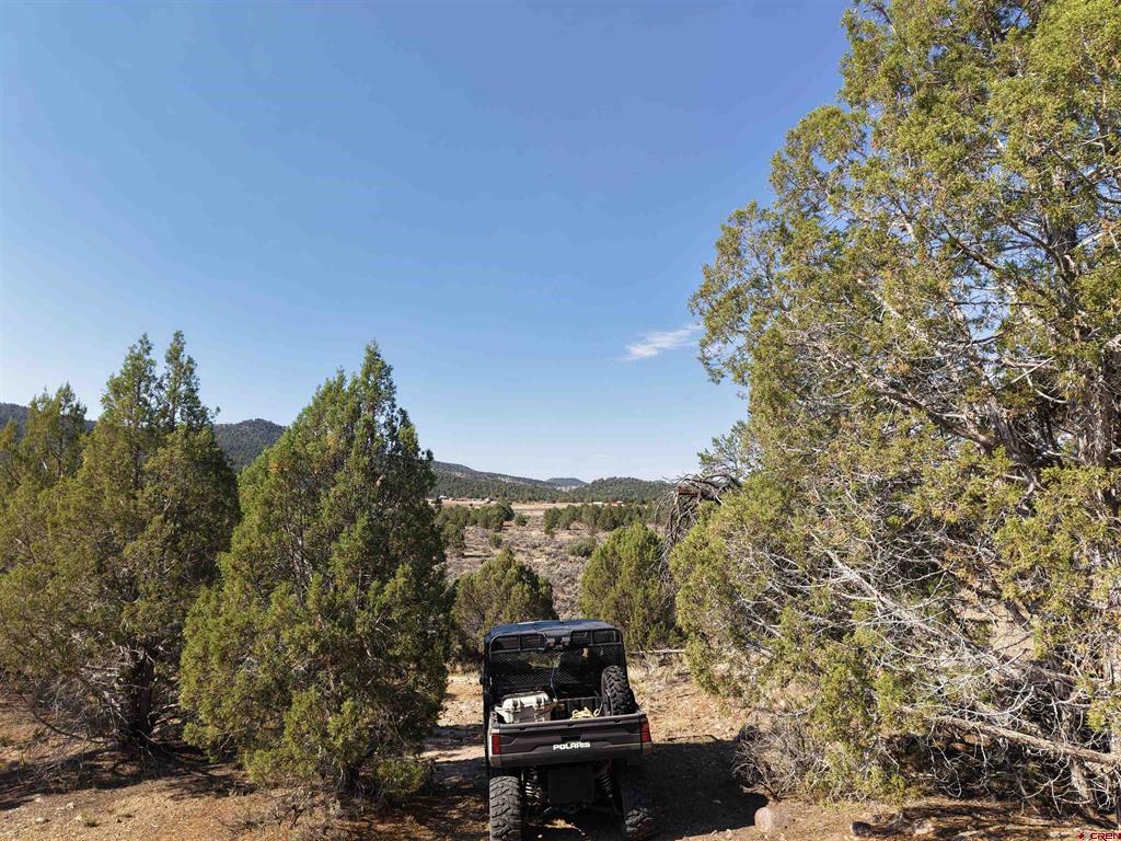 Tbd Cr 310 Ignacio CO 81137