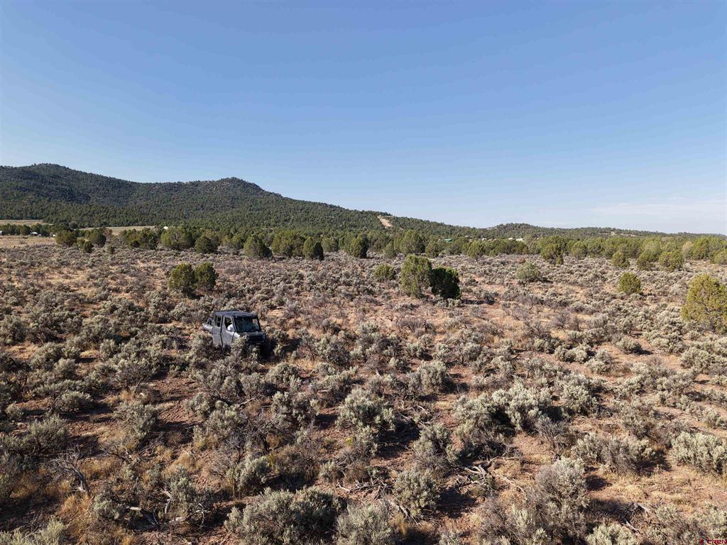 Tbd Cr 310 Ignacio CO 81137