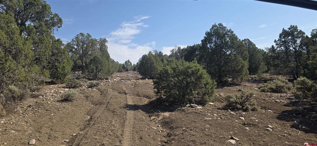 Tbd Cr 310 Ignacio CO 81137