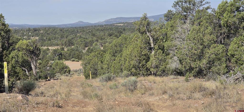 Tbd Cr 310 Ignacio CO 81137