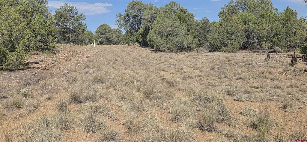 Tbd Cr 310 Ignacio CO 81137