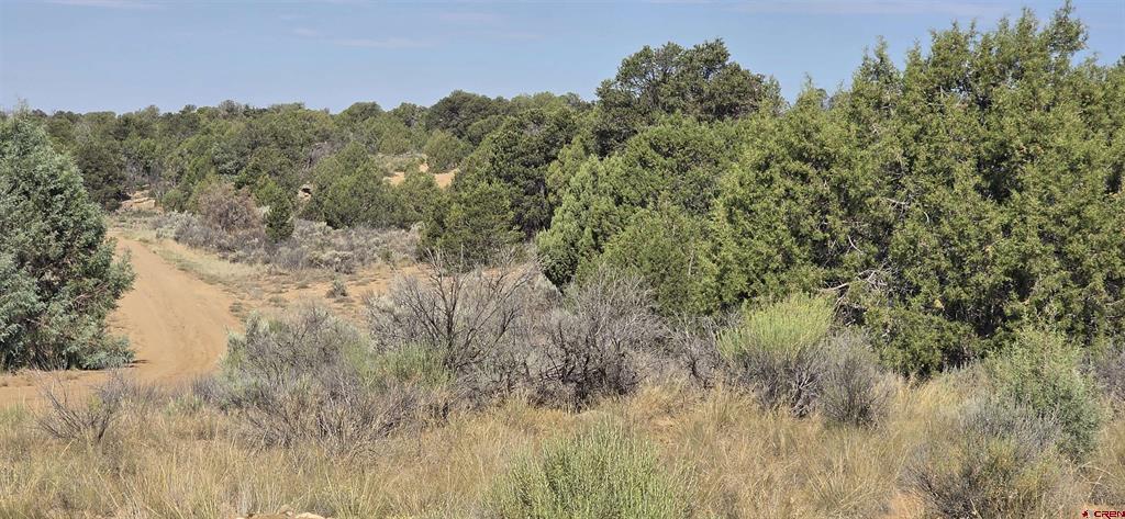 Tbd Cr 310 Ignacio CO 81137