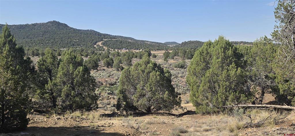 Tbd Cr 310 Ignacio CO 81137