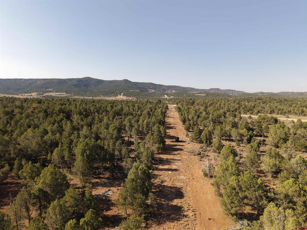 Tbd Cr 310 Ignacio CO 81137