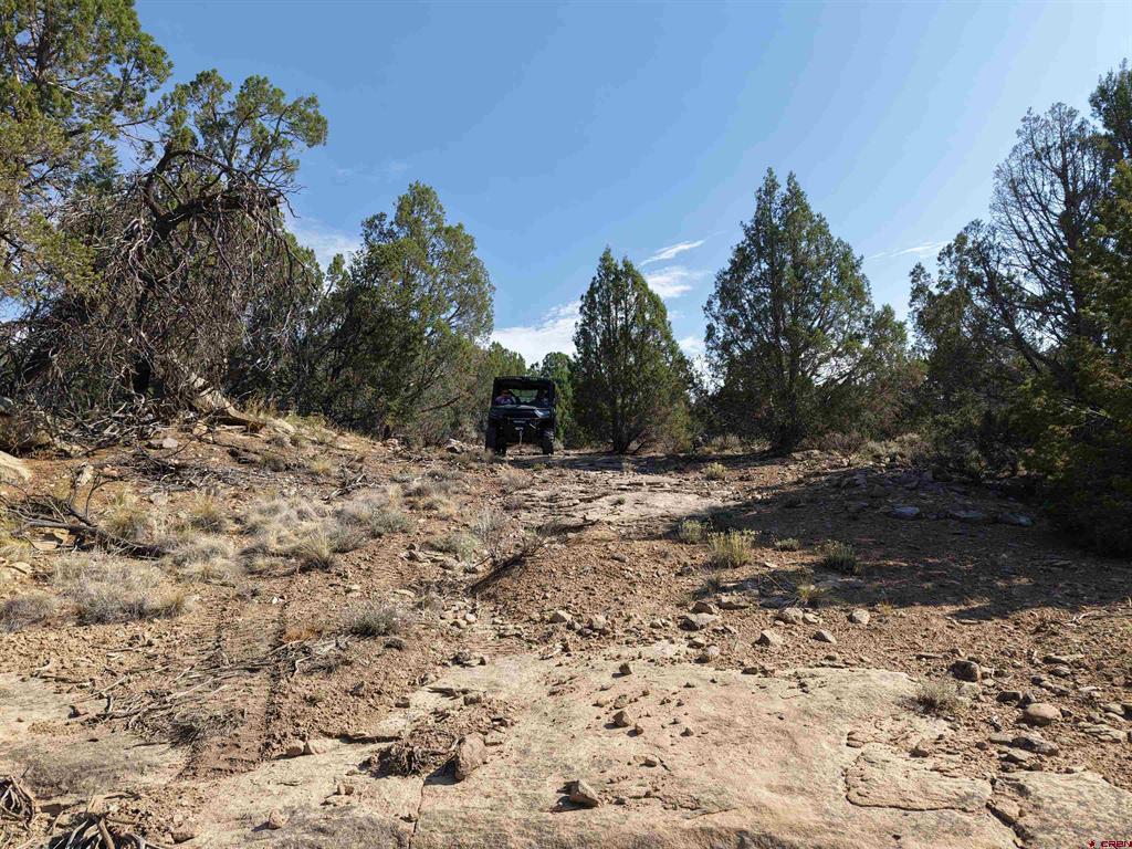 Tbd Cr 310 Ignacio CO 81137