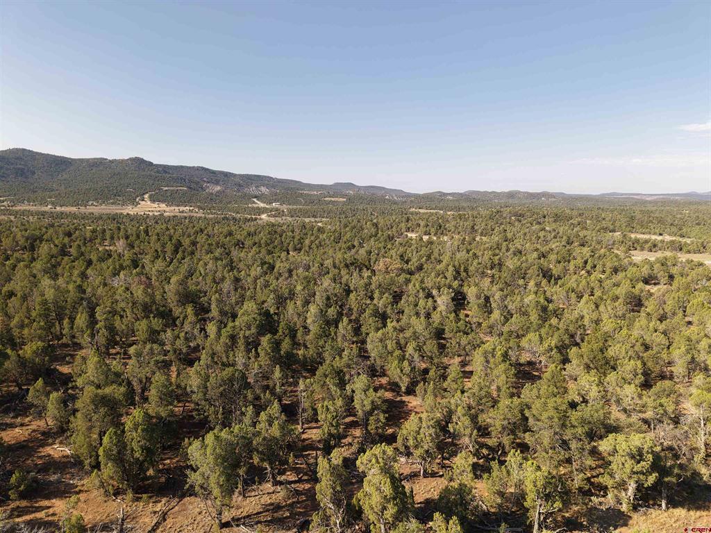 Tbd Cr 310 Ignacio CO 81137