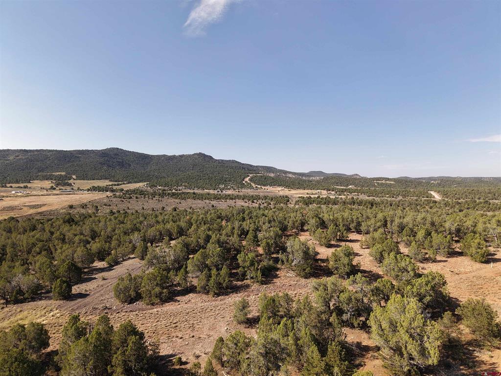 Tbd Cr 310 Ignacio CO 81137