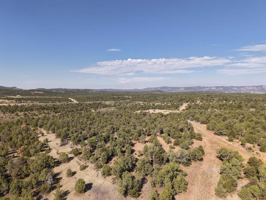 Tbd Cr 310 Ignacio CO 81137