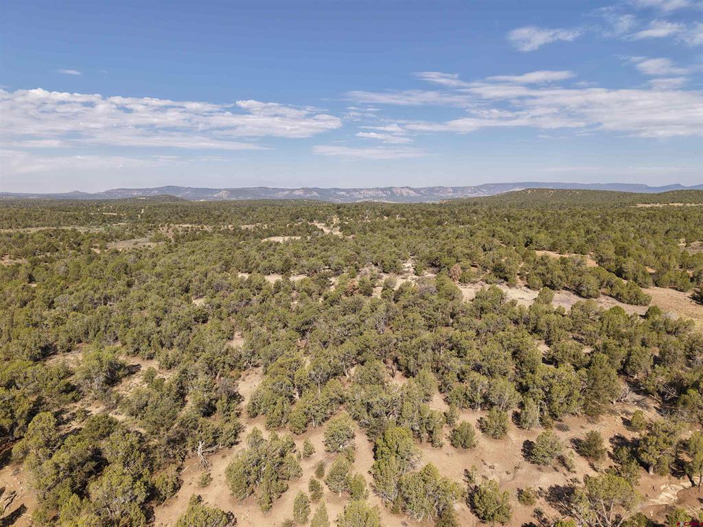 Tbd Cr 310 Ignacio CO 81137