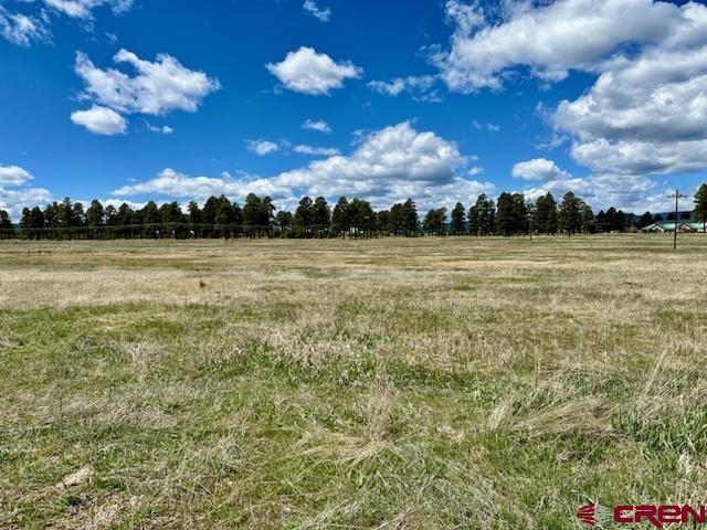 77 W Mccabe Street Pagosa Springs CO 81147