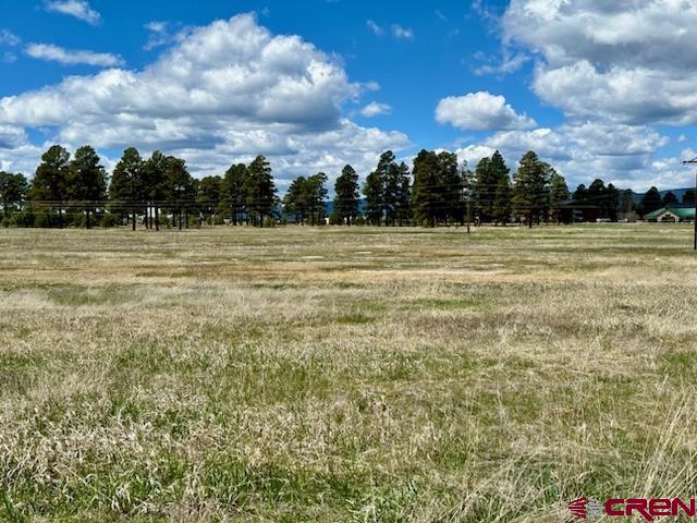 77 W Mccabe Street Pagosa Springs CO 81147