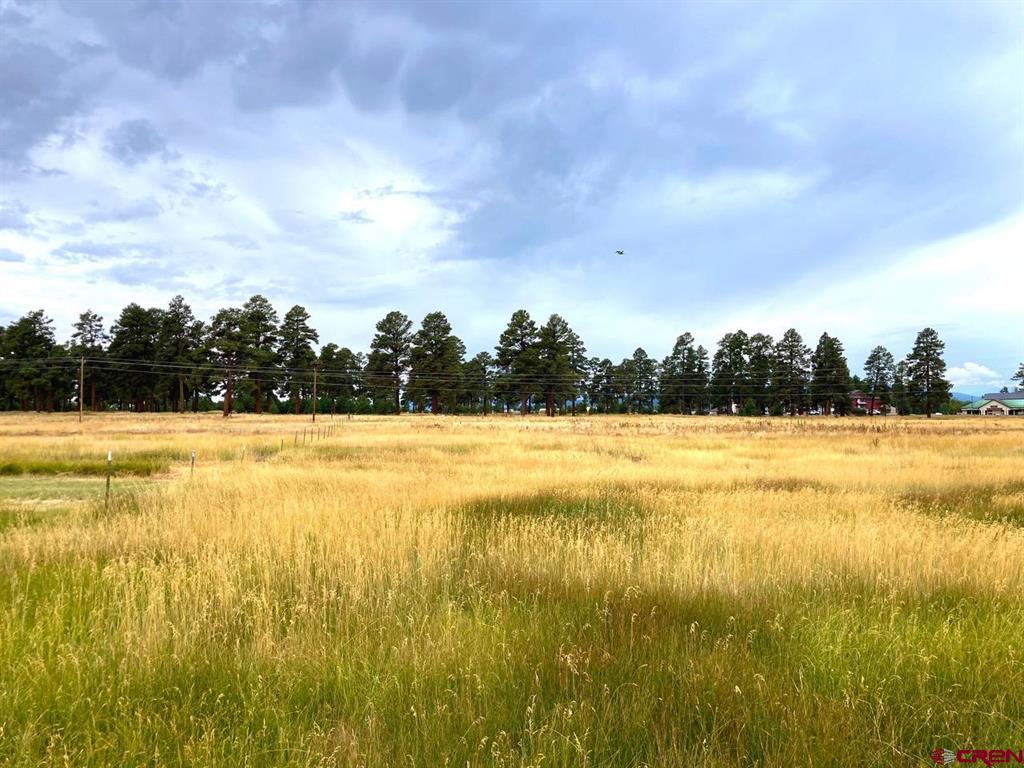 77 W Mccabe Street Pagosa Springs CO 81147