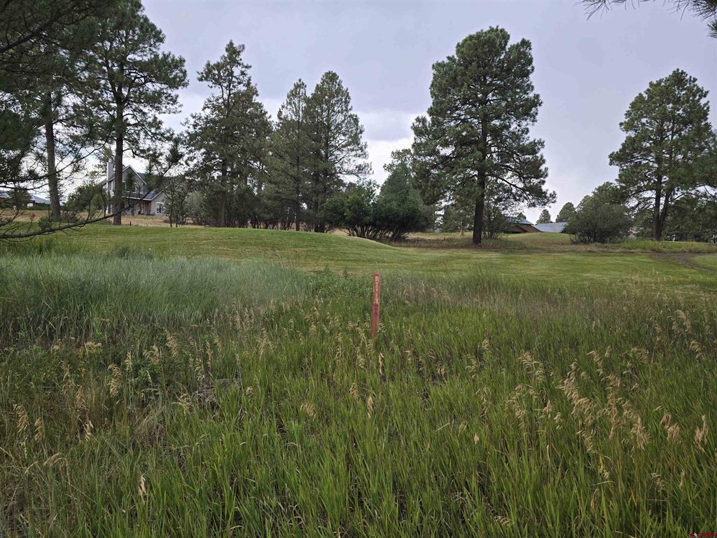 94 Pines Club Place Pagosa Springs CO 81147