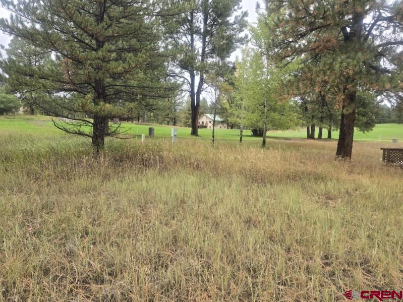 94 Pines Club Place Pagosa Springs CO 81147