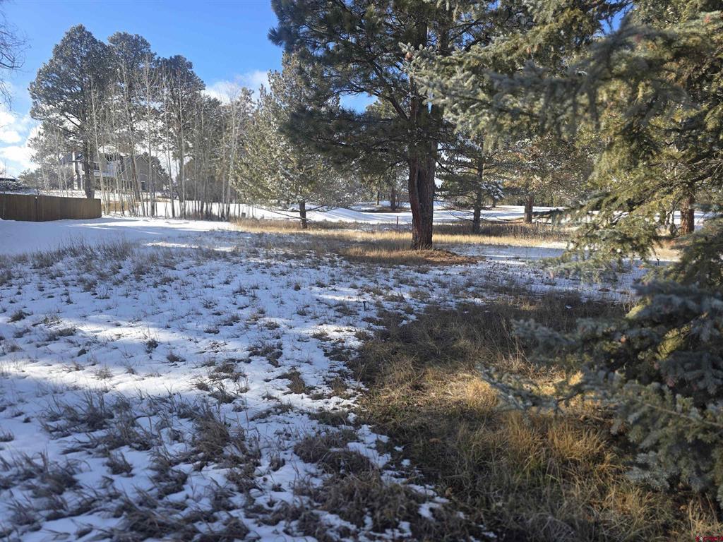 94 Pines Club Place Pagosa Springs CO 81147