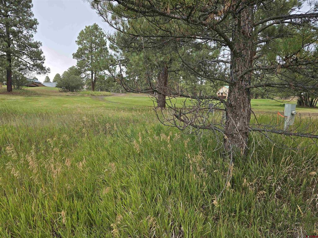 94 Pines Club Place Pagosa Springs CO 81147